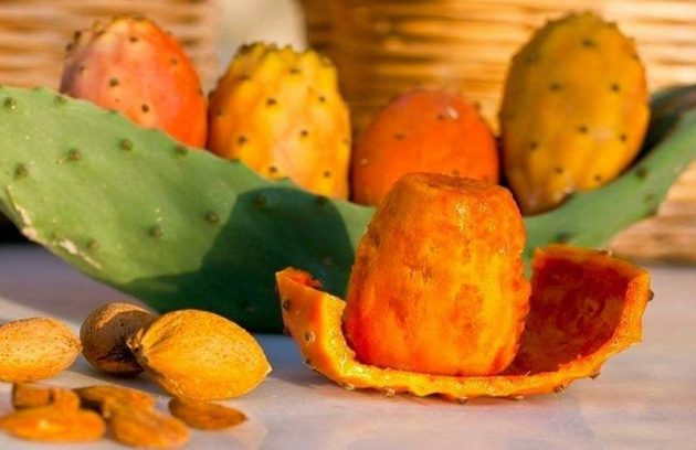فاكهة الصبار أو مايسمى التين الشوكي ،مافوائده الغذائية؟